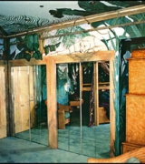 Jungle Guest Bedroom Mural view 3