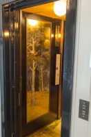 Elegant Lift, SF Decorators Showcase