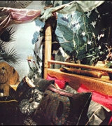 Surround-a-vision, Jungle Mural