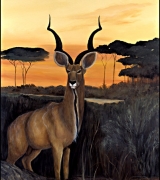 wall_mural_artist_gc3