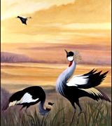 wall_mural_artist_gc4